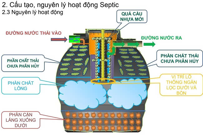 nguyen tac hoat dong bon tu hoai septic